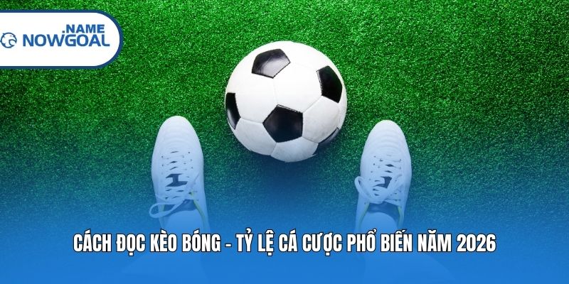 Cách đọc kèo bóng - tỷ lệ cá cược phổ biến năm 2026
