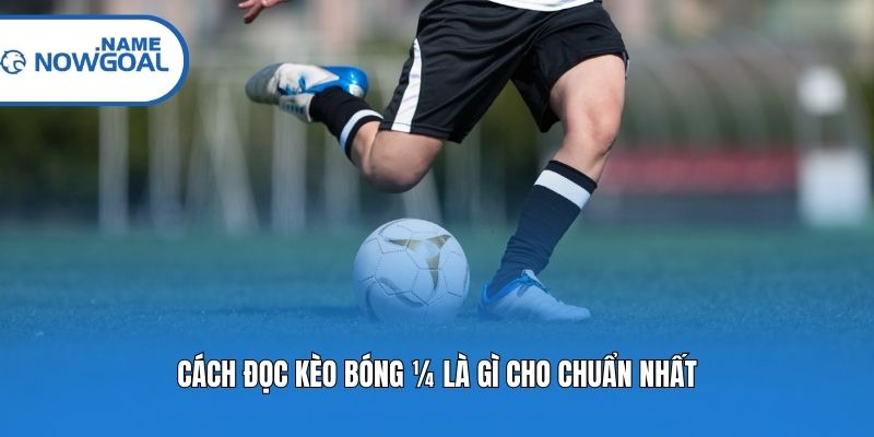 Cách đọc kèo bóng ¼ là gì cho chuẩn nhất?