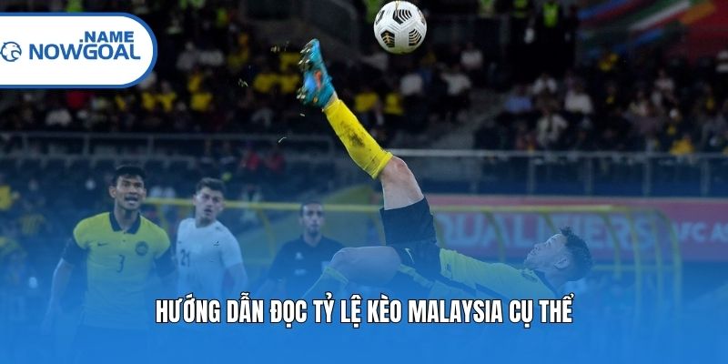 Hướng dẫn đọc tỷ lệ kèo Malaysia cụ thể