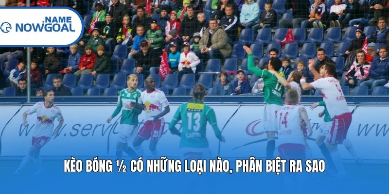 Kèo bóng ½ có những loại nào, phân biệt ra sao?