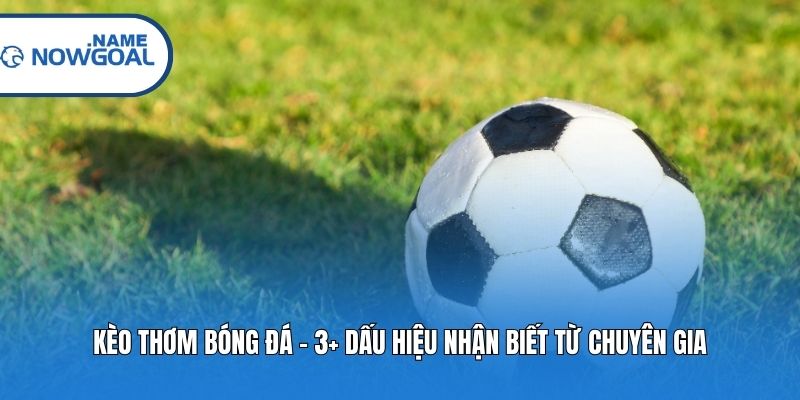 Kèo Thơm Bóng Đá - 3+ Dấu Hiệu Nhận Biết Từ Chuyên Gia