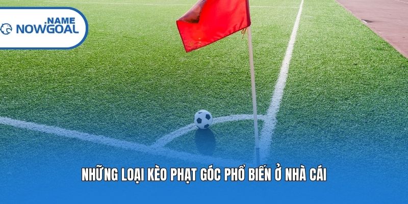 Những loại kèo phạt góc phổ biến ở nhà cái