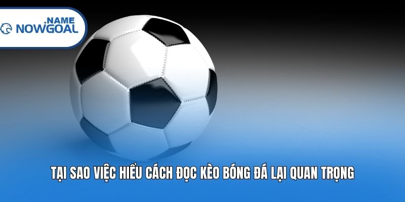 Tại sao việc hiểu cách đọc kèo bóng đá lại quan trọng?