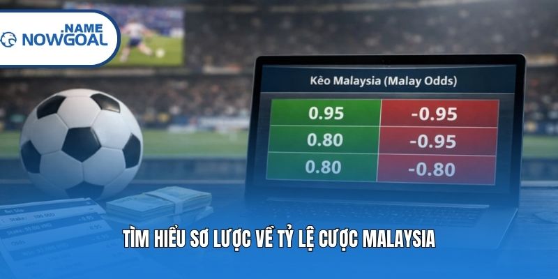 Tìm hiểu sơ lược về tỷ lệ cược Malaysia